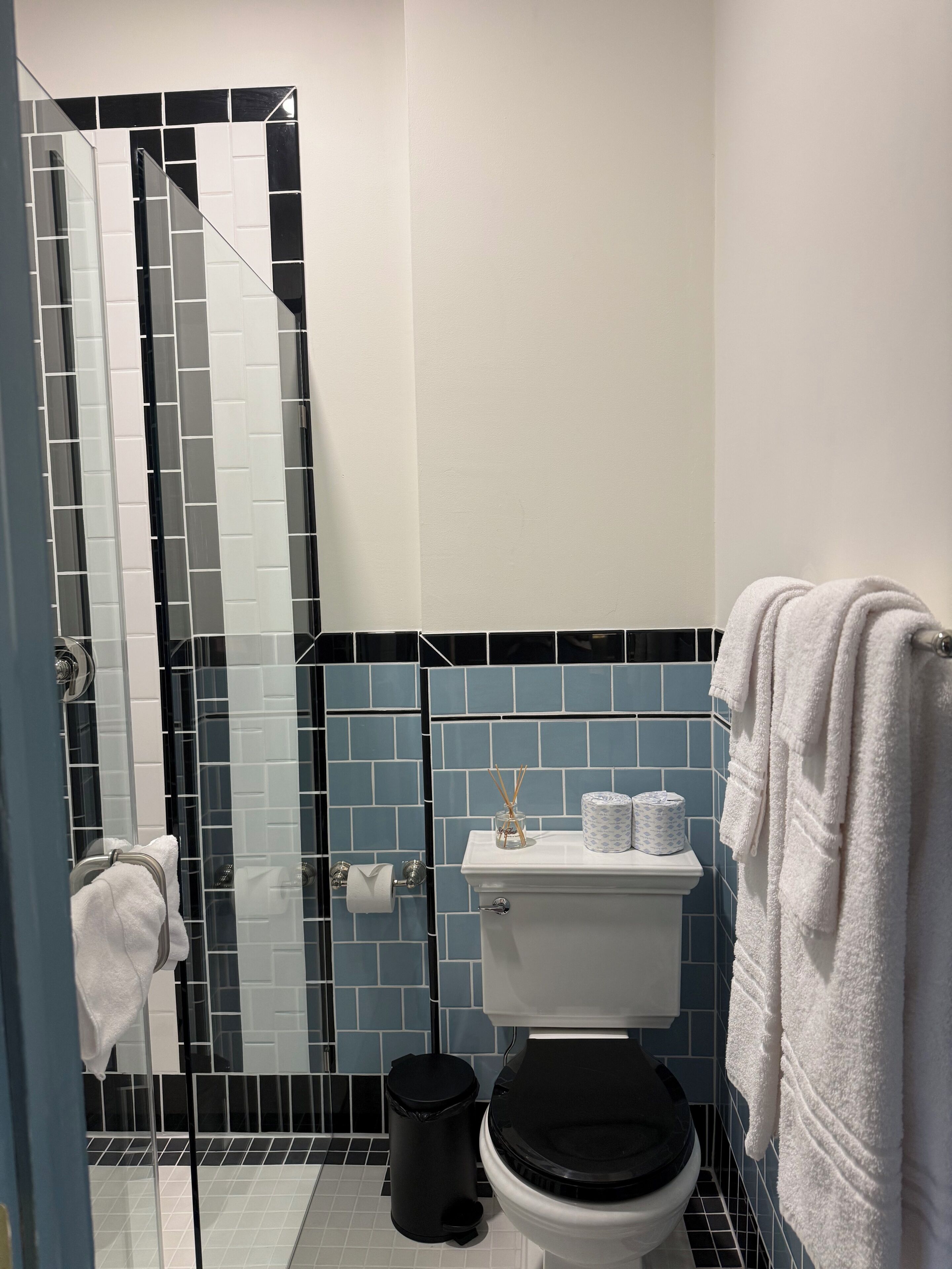 Un baño con inodoro, cubo de basura, ducha y toallero.
