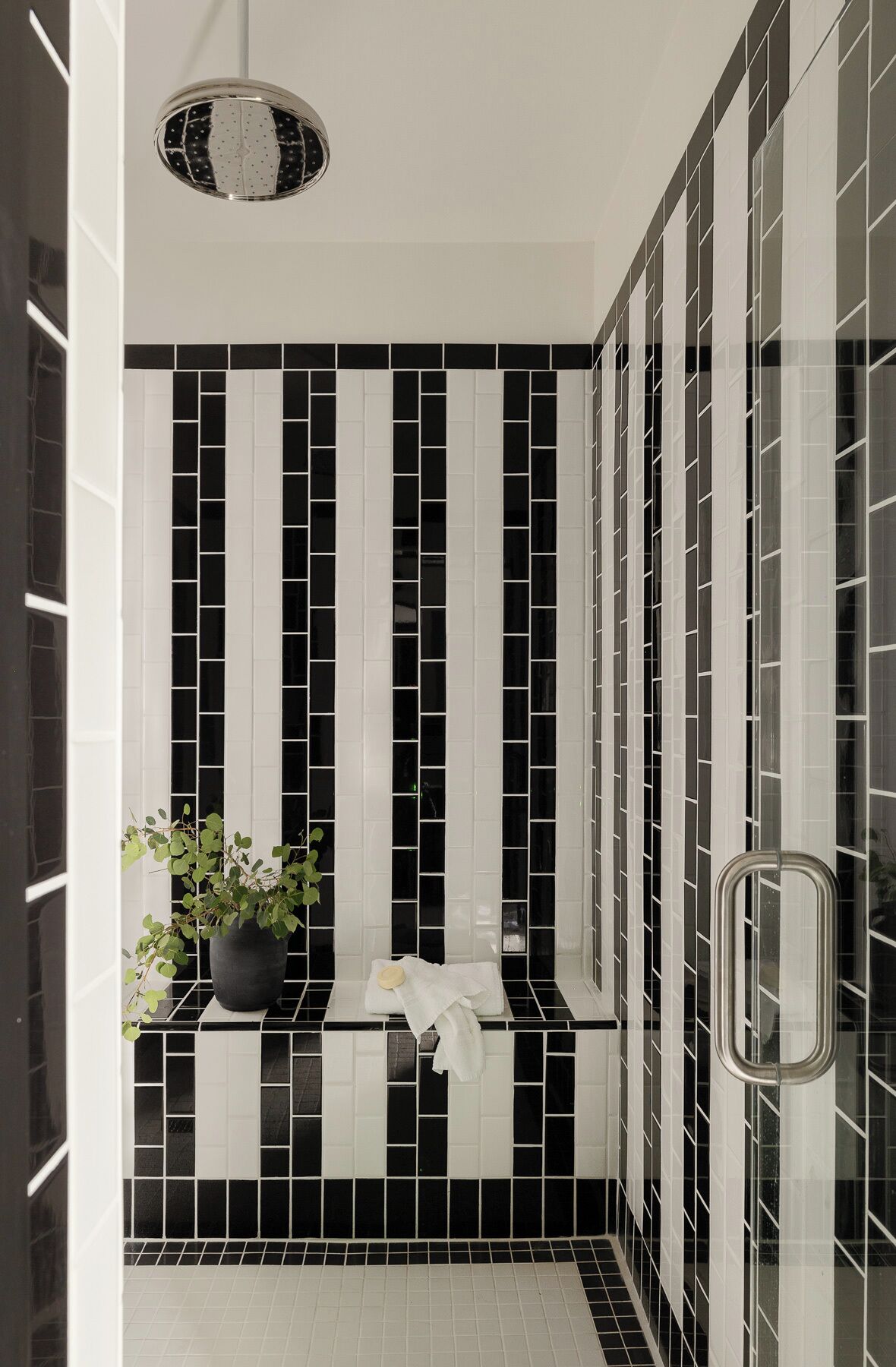 Een badkamer met zwart-wit betegelde wanden, een hanglamp, een potplant en een handdoekhouder.