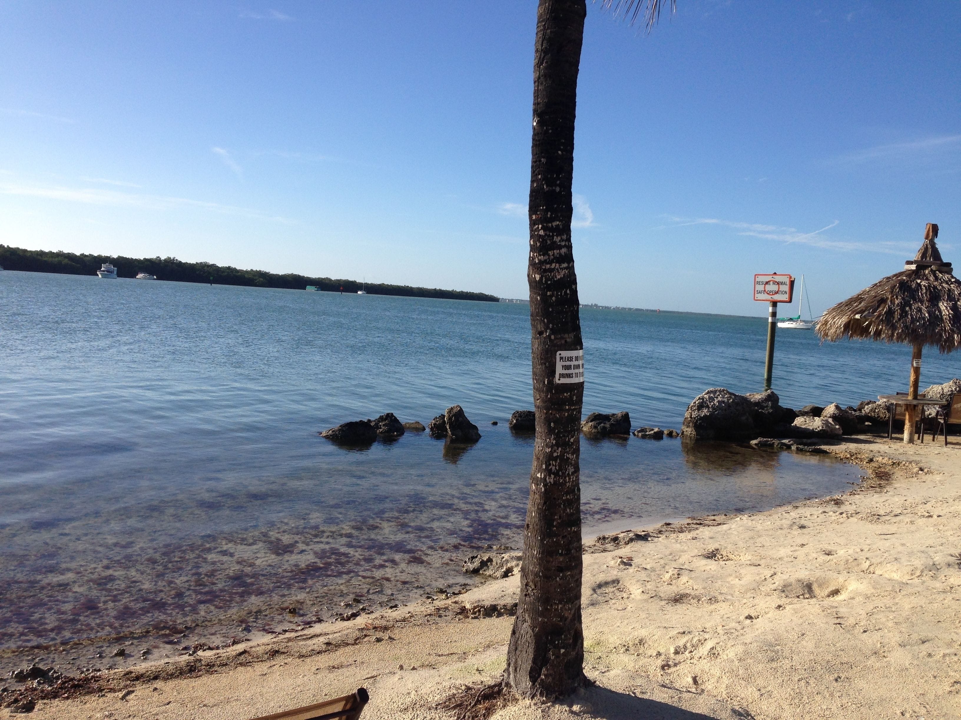A beach with clear water, a palm tree, and a sign warning against driving to the water.