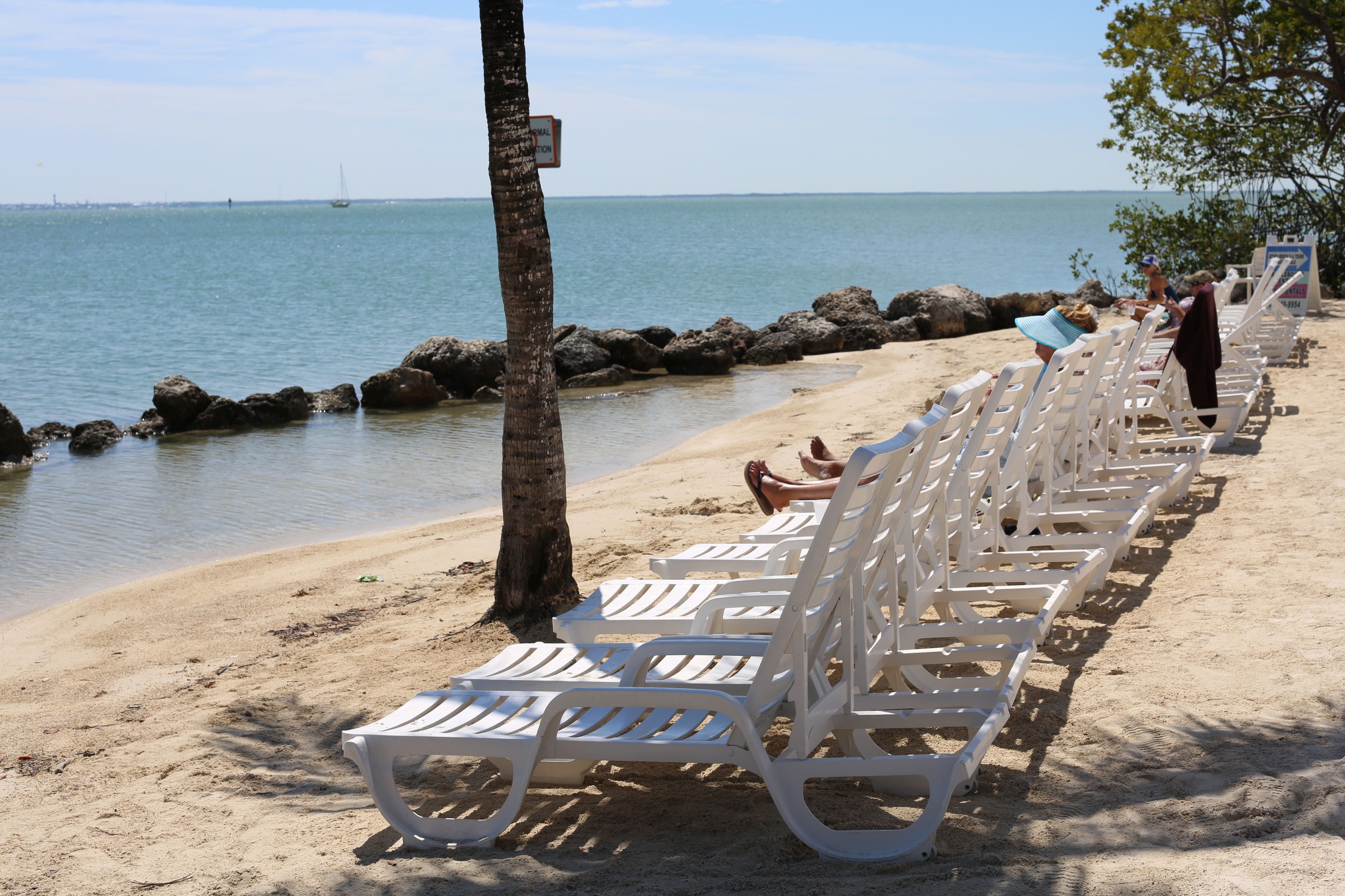 Une plage avec des chaises longues blanches alignées le long du rivage, un palmier et une digue rocheuse.