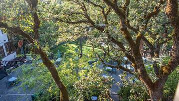 Deluxe Queen | View from room