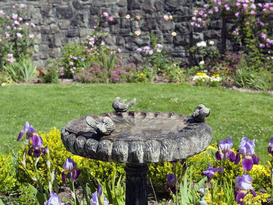 Un abrevadero de piedra con dos pájaros posados, rodeado de un jardín con diversas flores y un muro de piedra al fondo.