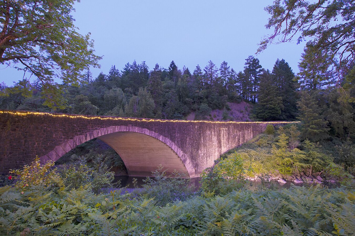 Un puente de piedra con luces, rodeado de un bosque frondoso y helechos.