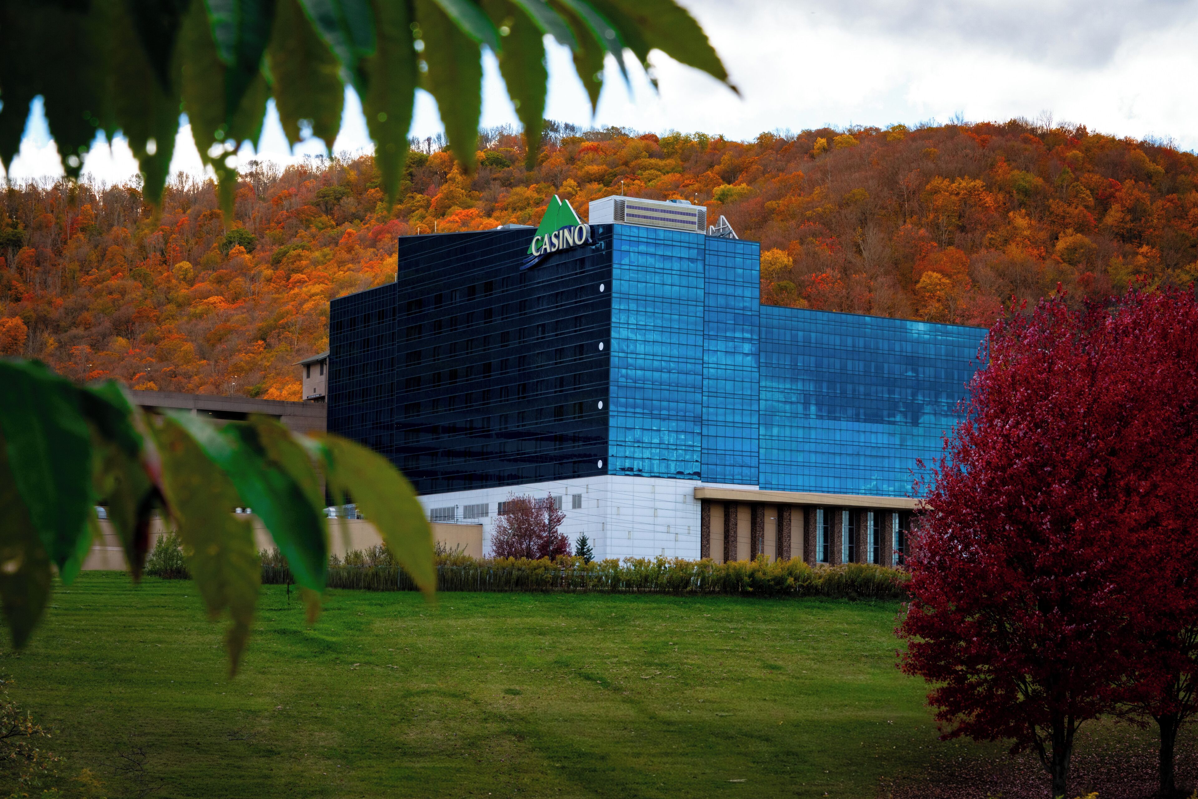 A modern building with a 'CASINO' sign, surrounded by a grassy area and autumn-colored trees.