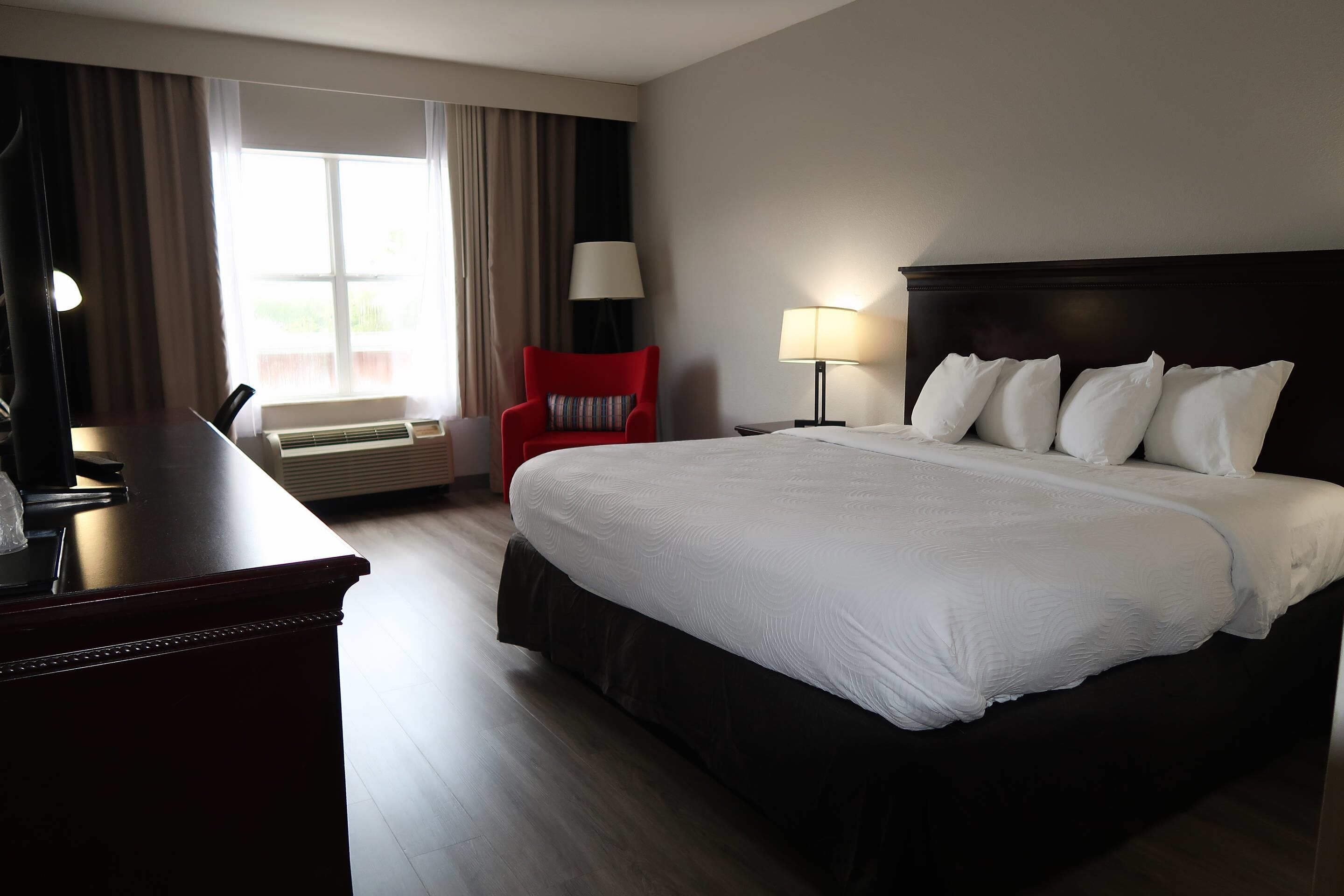 Room, 1 King Bed, Non Smoking | Desk, iron/ironing board, free cribs/infant beds, rollaway beds