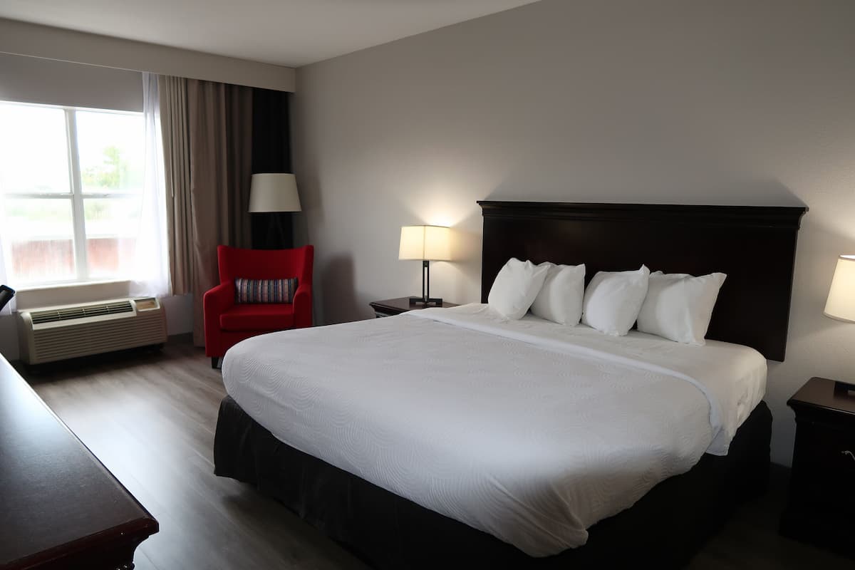 Room, 1 King Bed, Non Smoking | 1 bedroom, desk, iron/ironing board, free cribs/infant beds