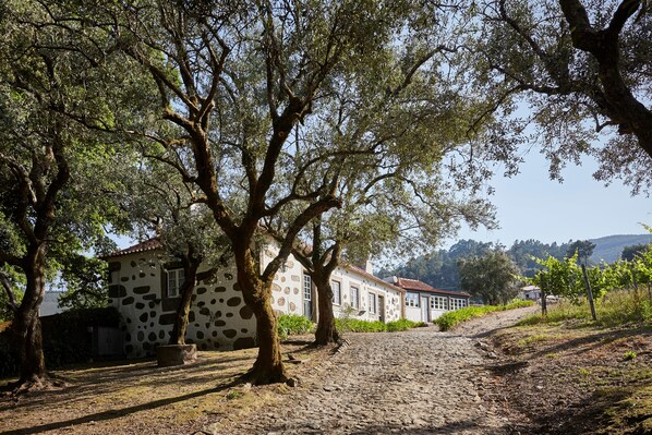 A stone building with a rustic charm, surrounded by mature trees and a cobblestone path. - Paço de Calheiros (Ponte de Lima)