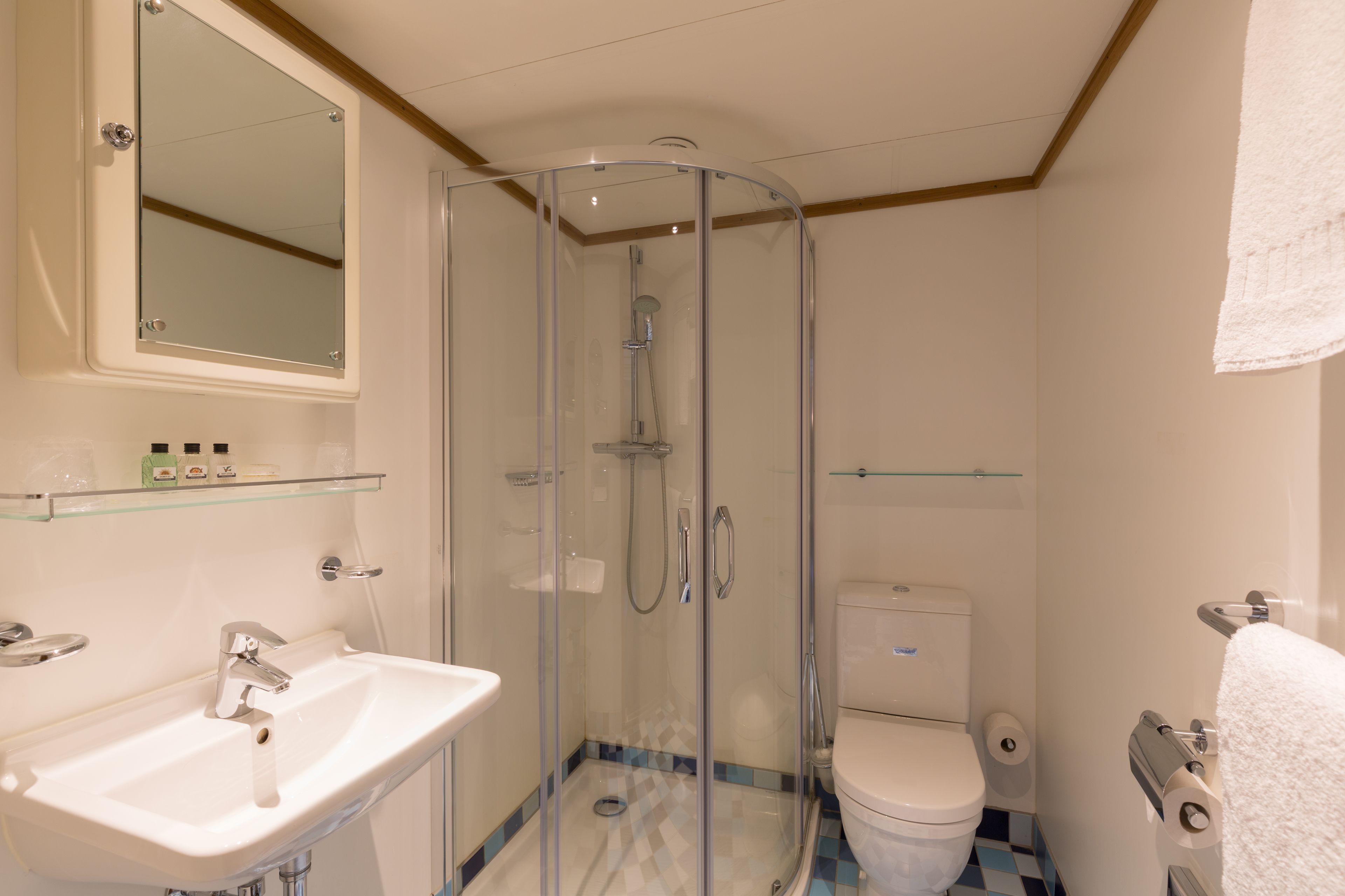 executive room, 1 king bed | bathroom | shower, eco-friendly toiletries, hair dryer, towels