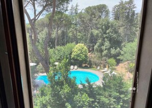 A view of a swimming pool surrounded by lush greenery and trees. - Borgo Dolciano (Chiusi)