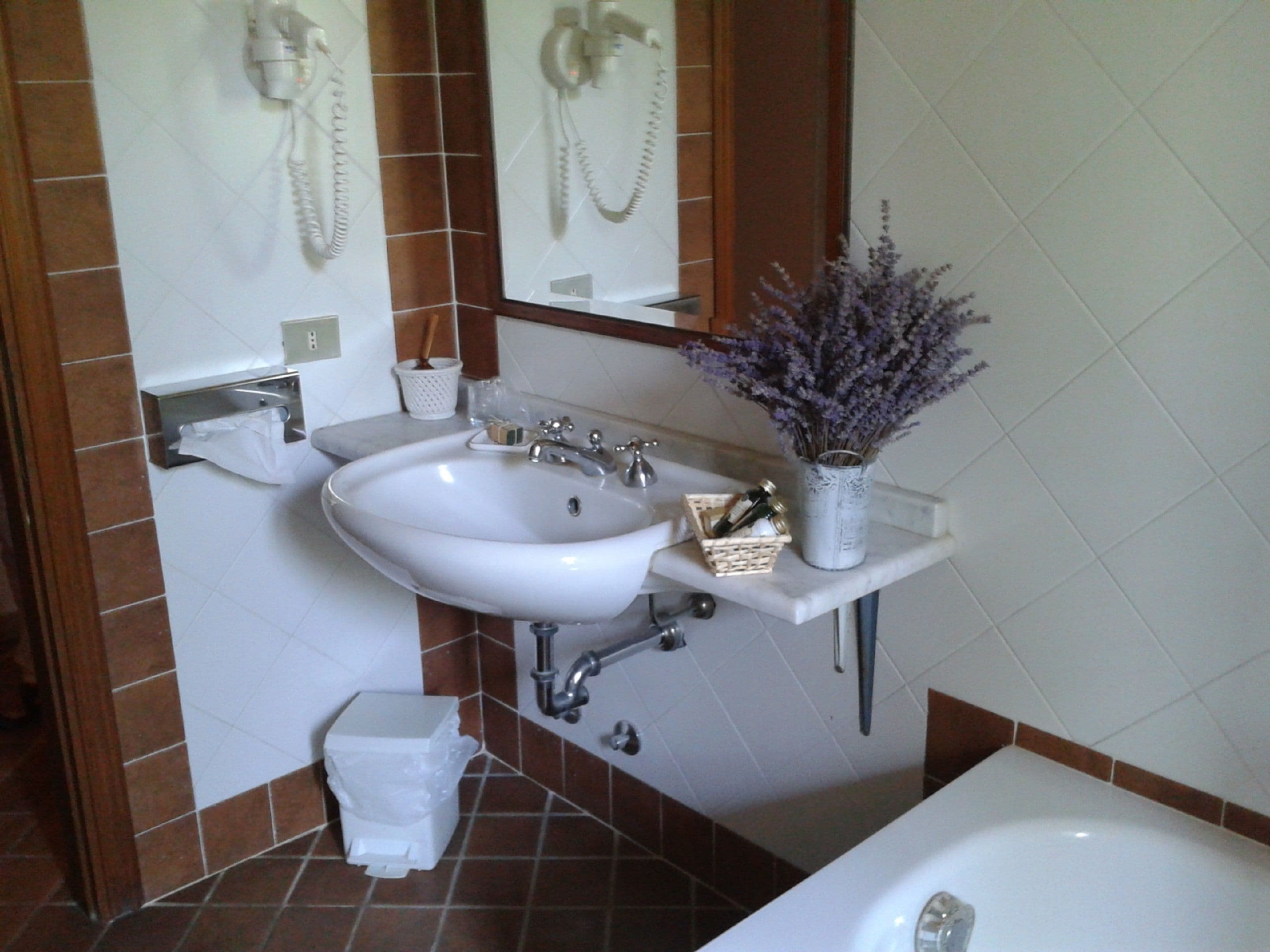 shower, free toiletries, hair dryer, bidet