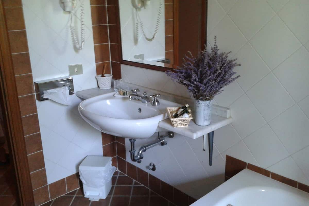 shower, free toiletries, hair dryer, bidet