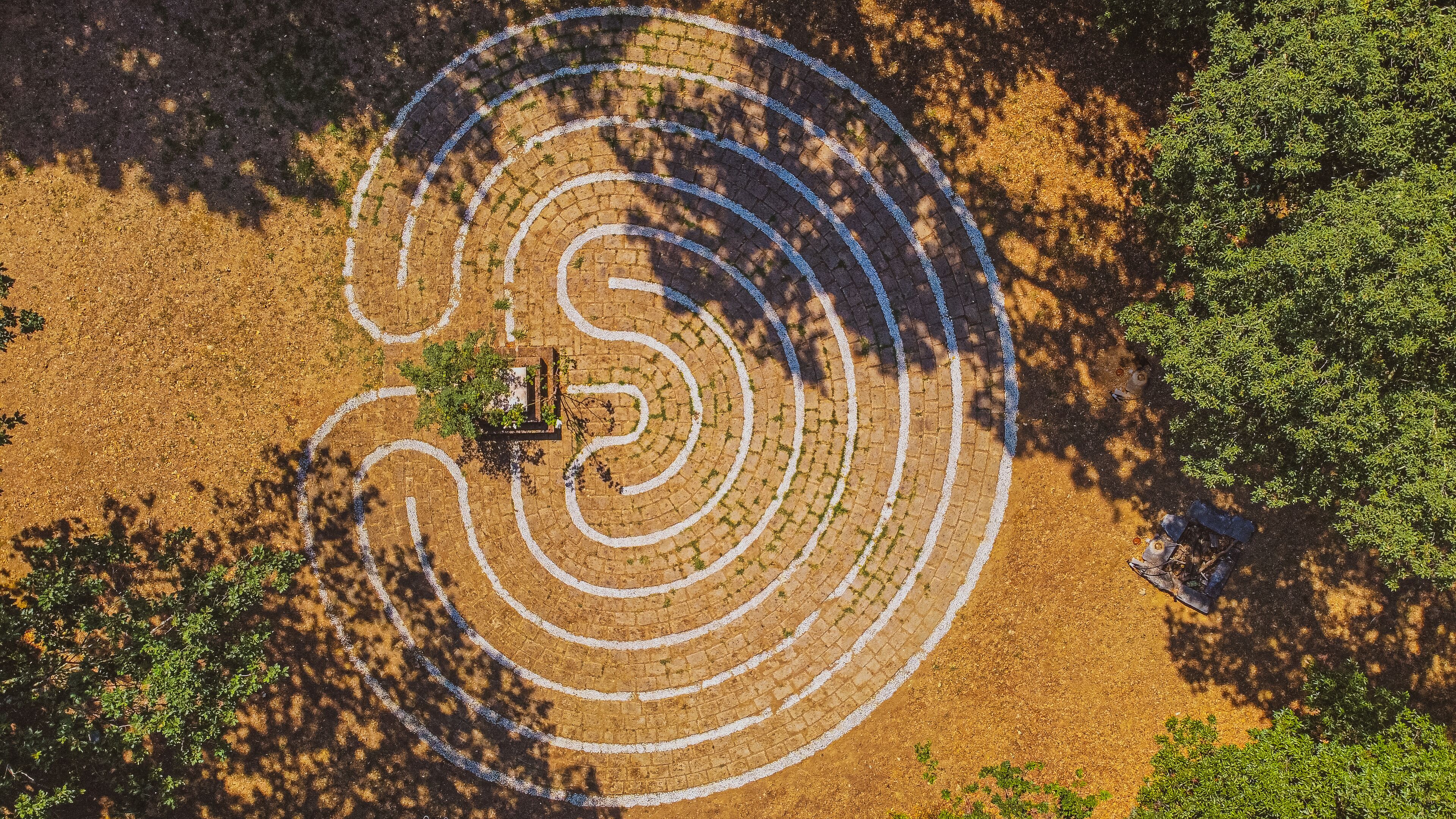 An aerial view of a circular pattern on a field, surrounded by trees.