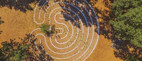 An aerial view of a circular pattern on a field, surrounded by trees.