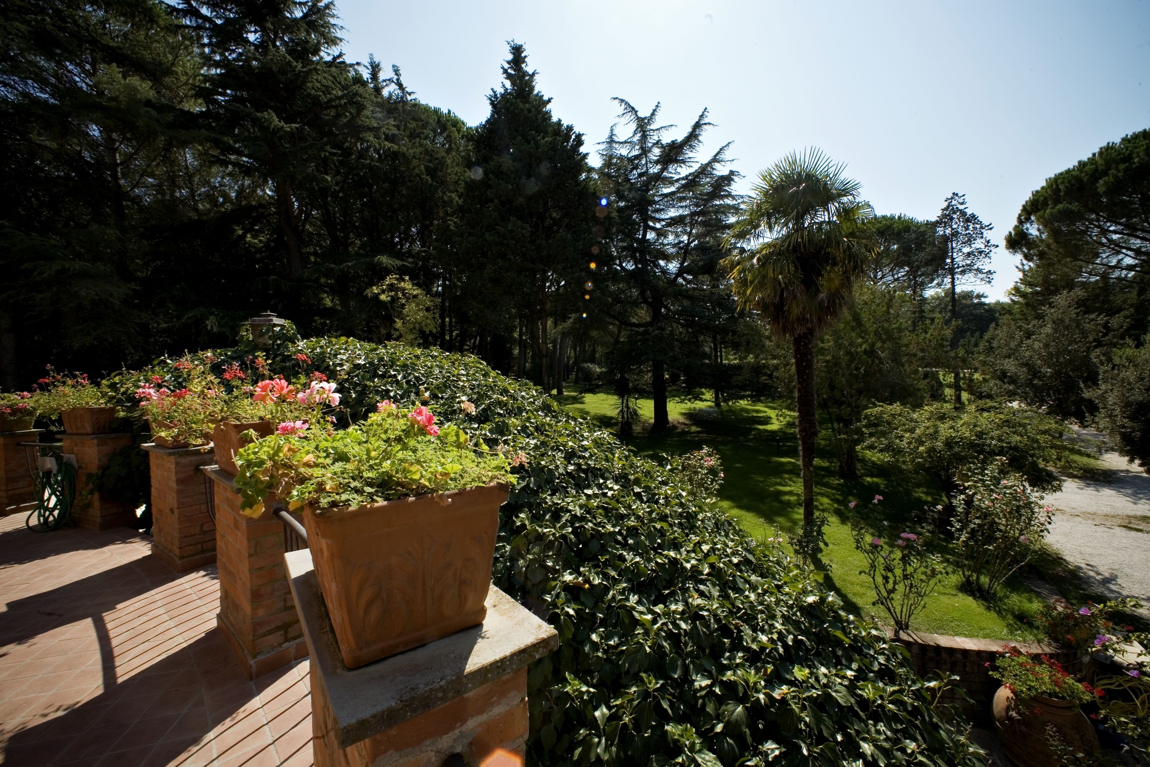 Foto - Montebelli Agriturismo & Country Hotel