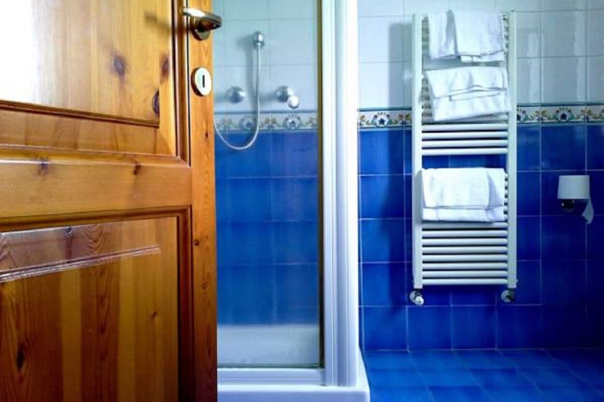 shower, free toiletries, hair dryer, bidet