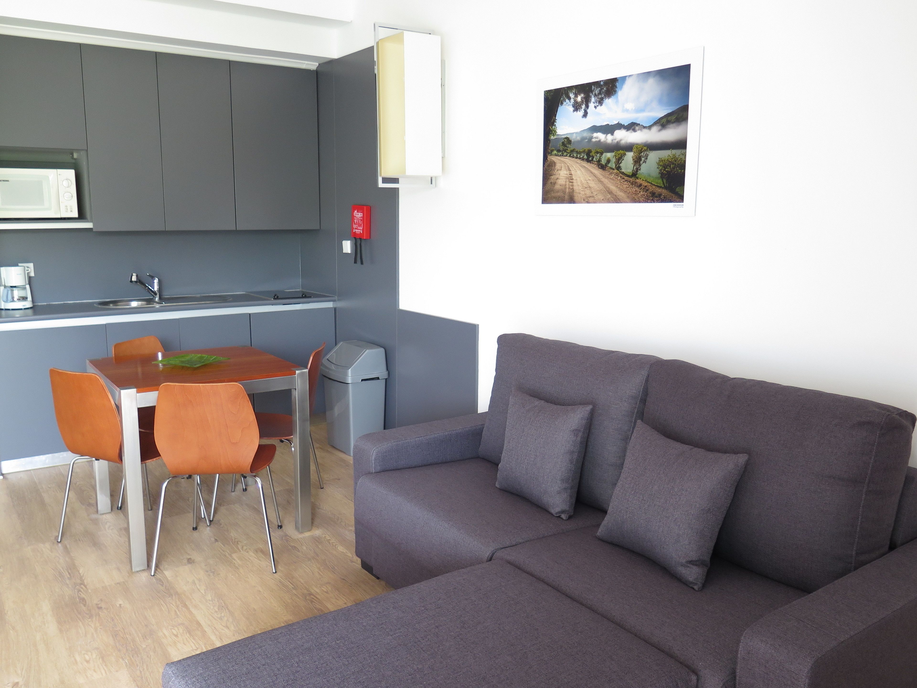 Un espacio habitable compacto con kitchenette, comedor y sofá.
