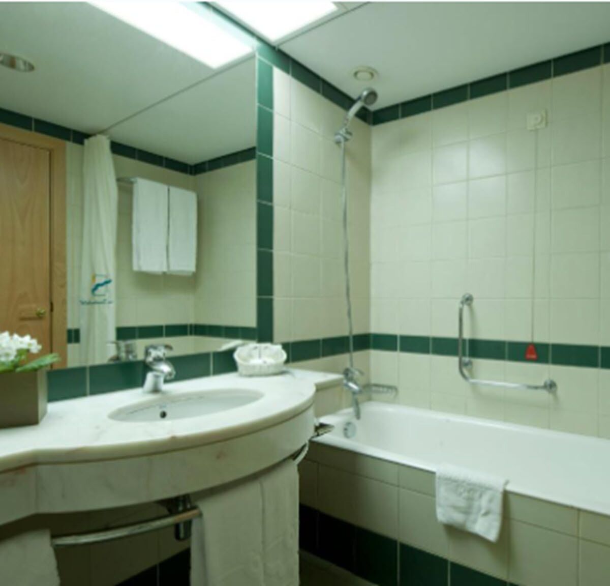combined shower/bathtub, free toiletries, hair dryer, towels