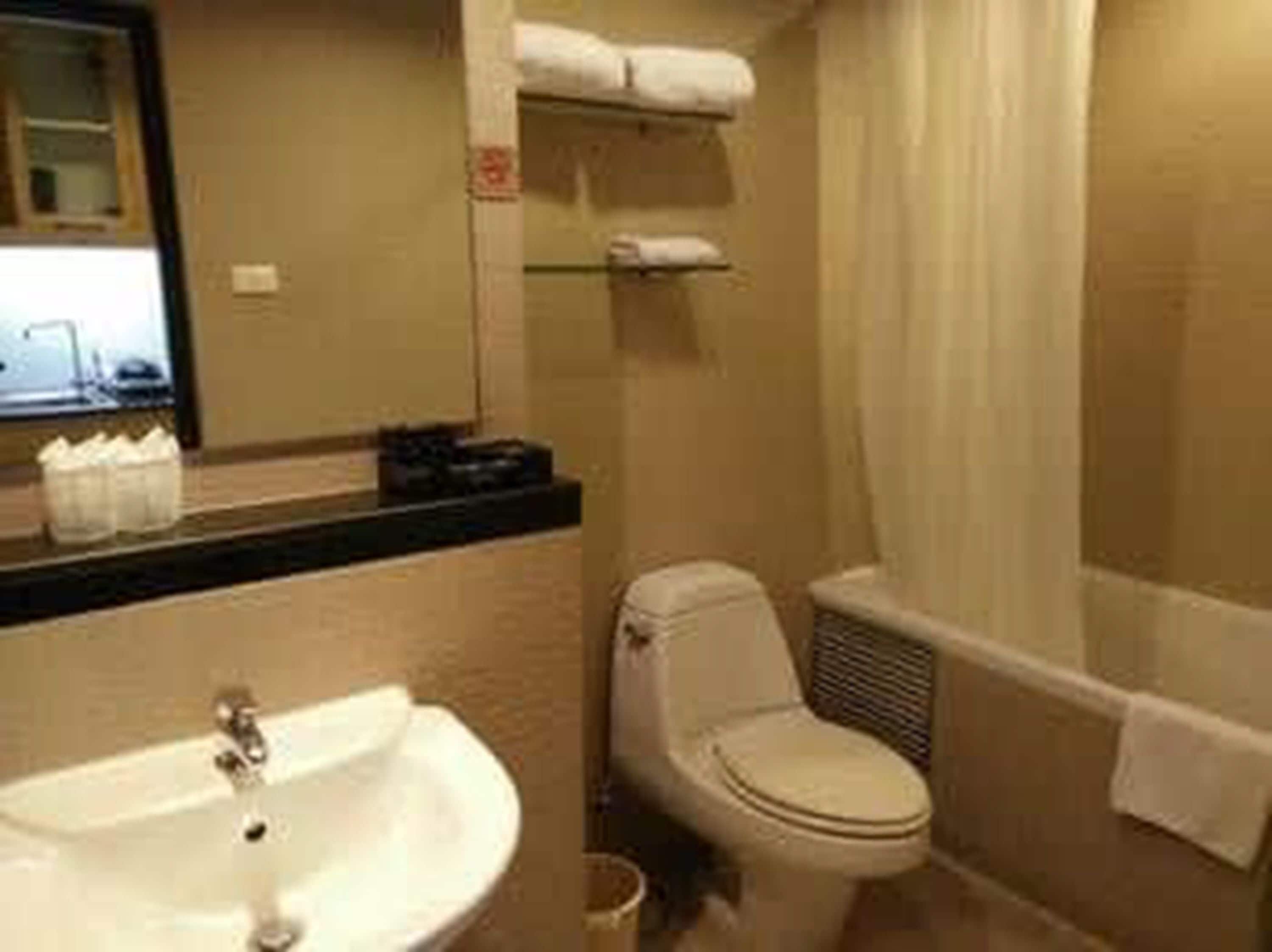 Une salle de bain avec un lavabo, des toilettes et une douche.