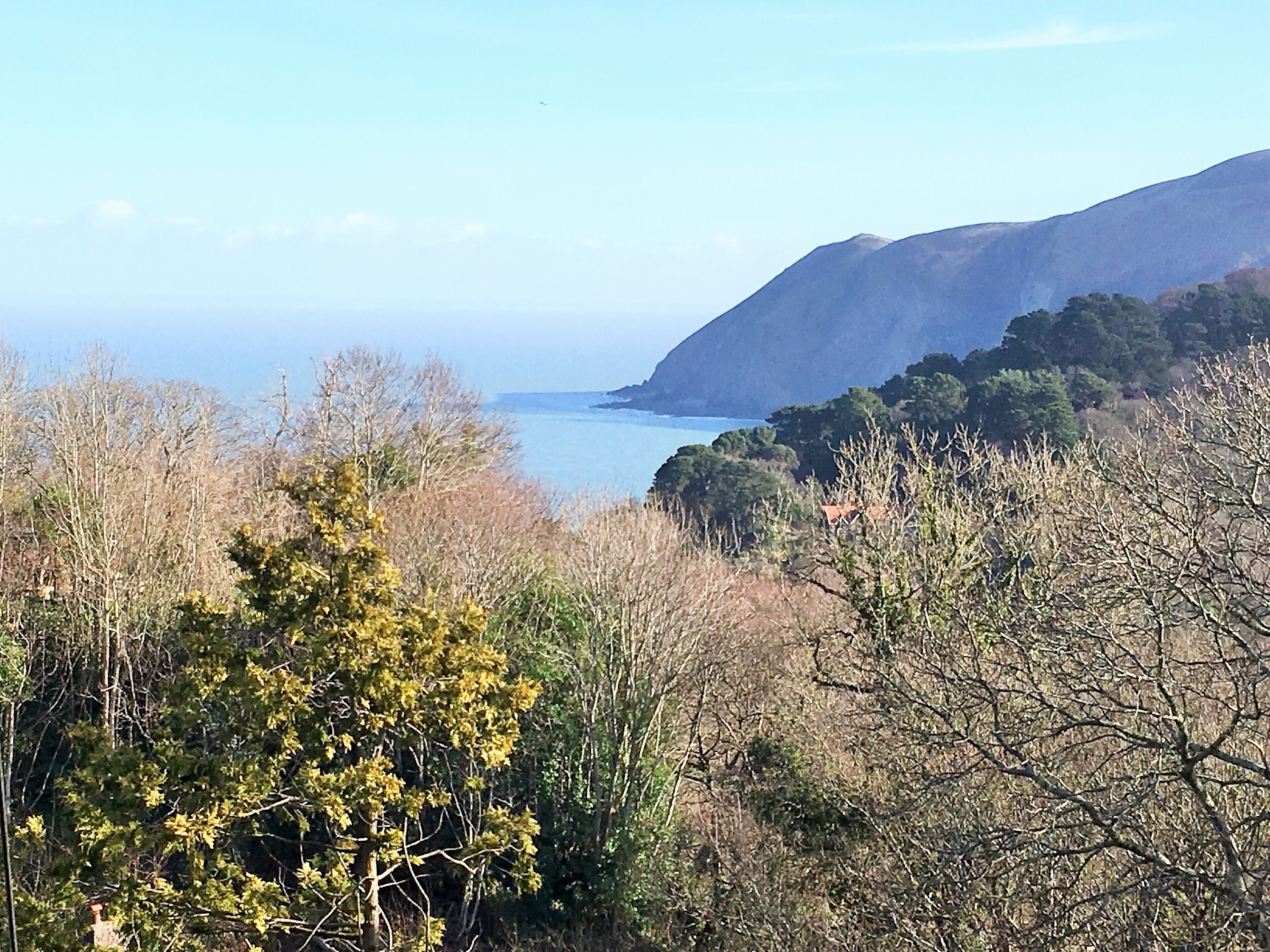 Eine Küstenlandschaft mit einem Berg, Bäumen und einem Gewässer.