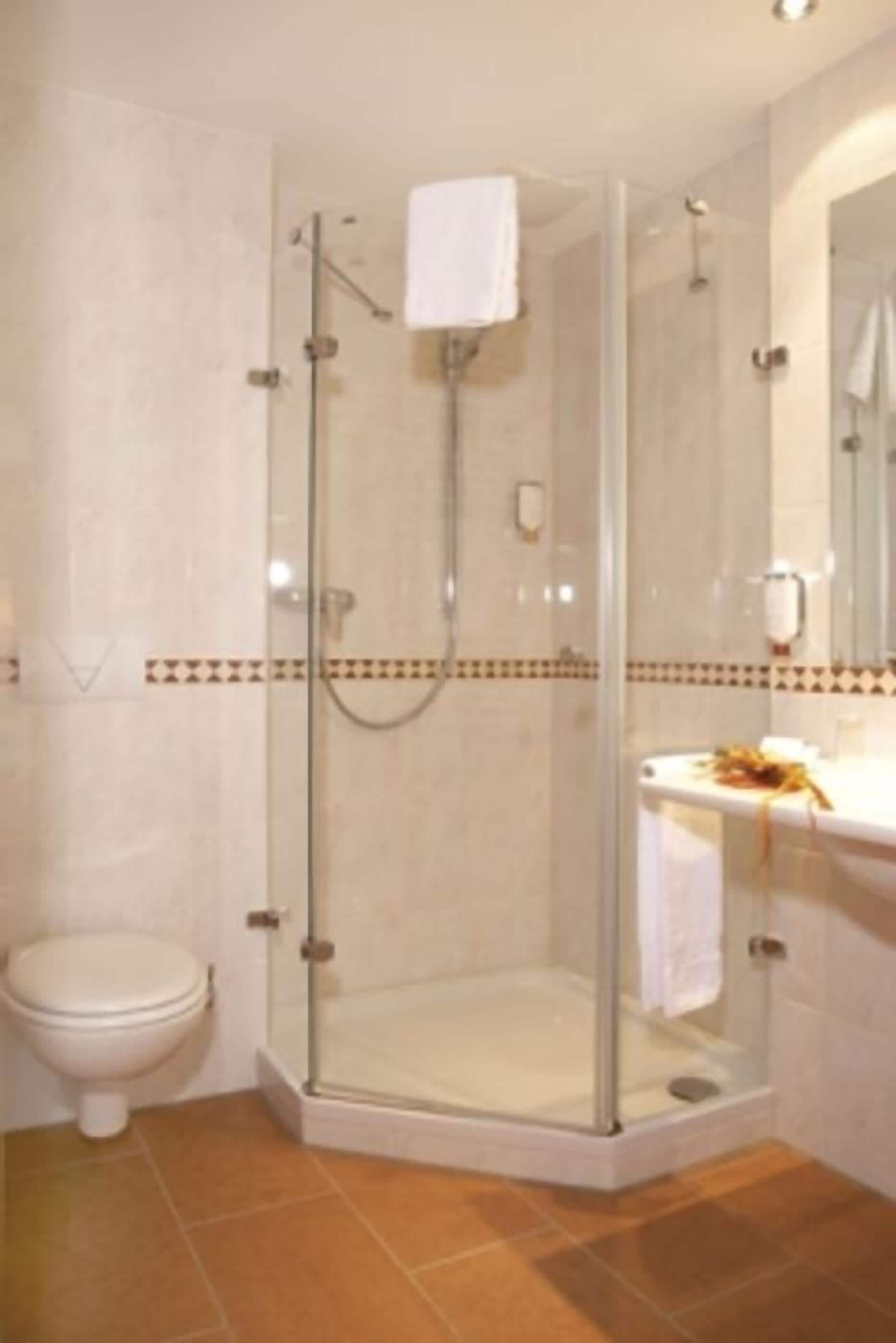 shower, free toiletries, hair dryer, towels