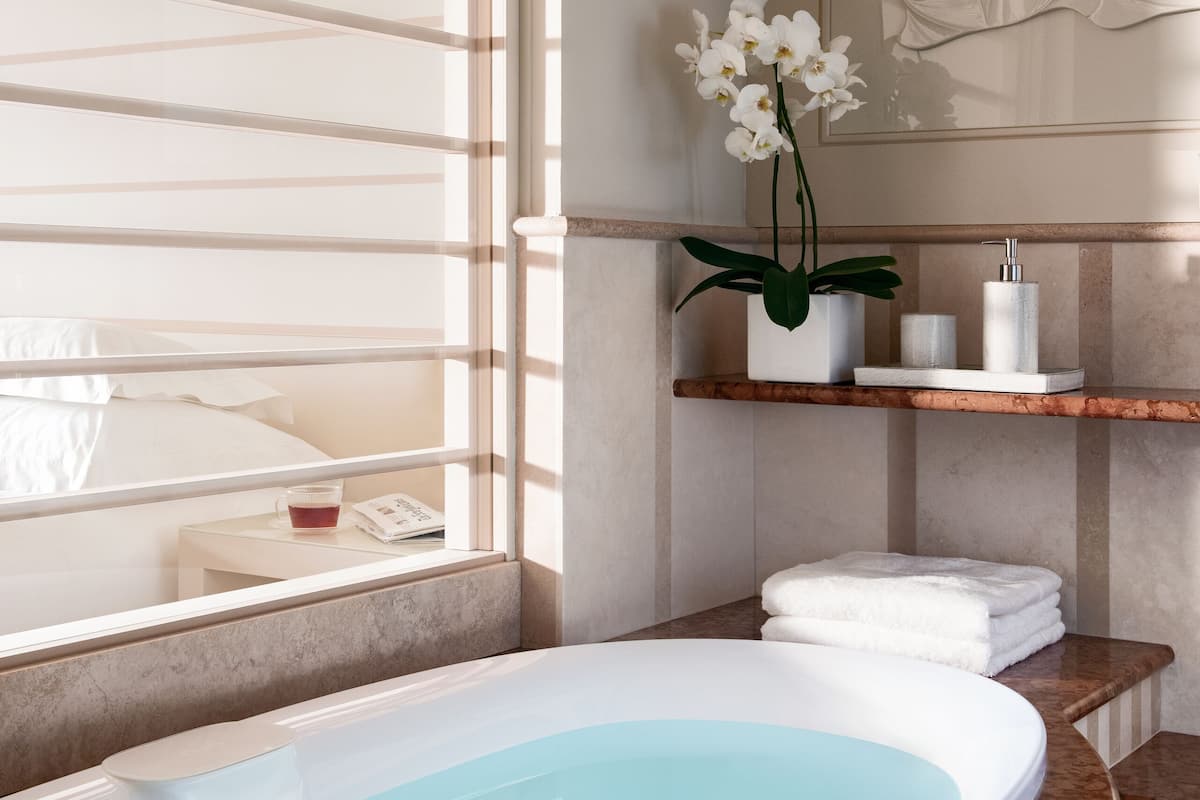 separate bathtub and shower, free toiletries, hair dryer, bathrobes