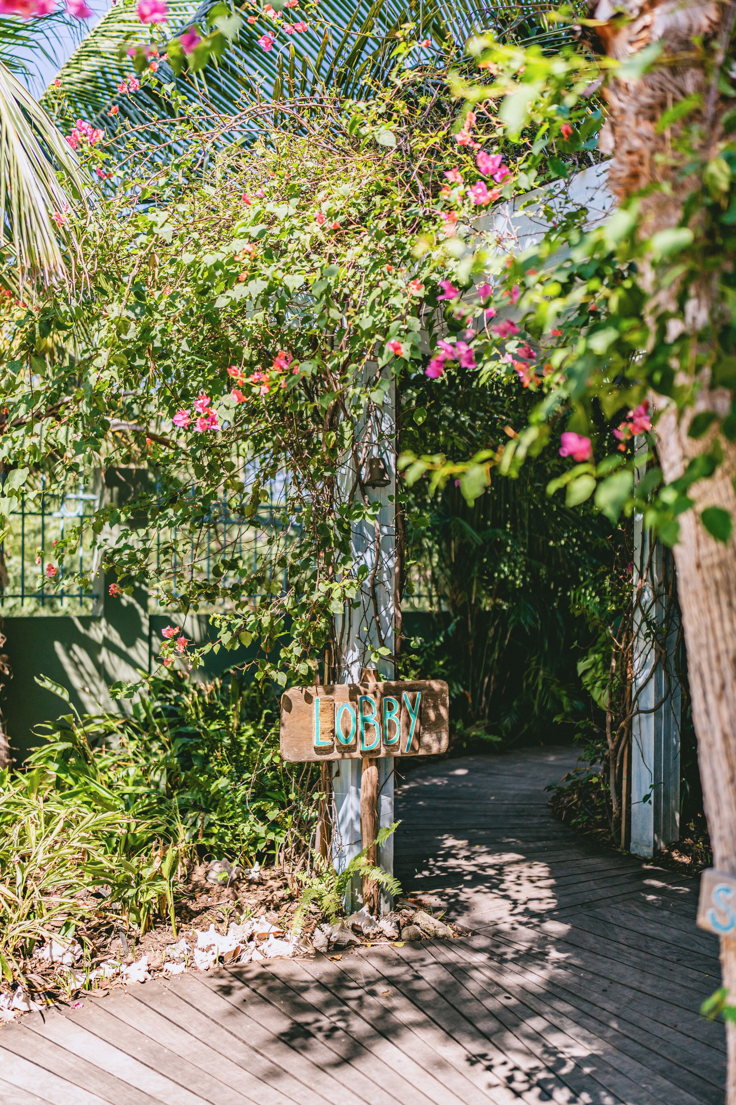 Photo - Boardwalk Boutique Hotel Aruba - Adults Only