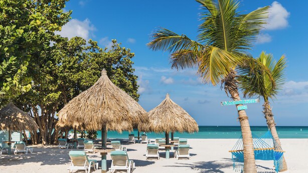 A beach with thatched umbrellas, lounge chairs, and palm trees. - Boardwalk Boutique Hotel Aruba - Adults Only (Noord)