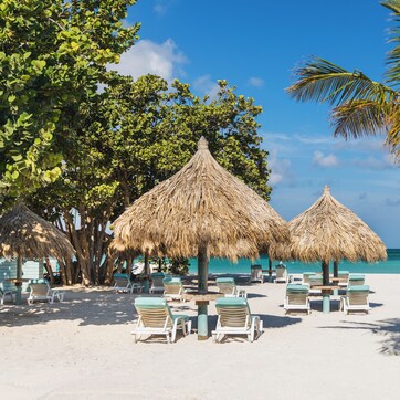 A beach with thatched umbrellas, lounge chairs, and palm trees.