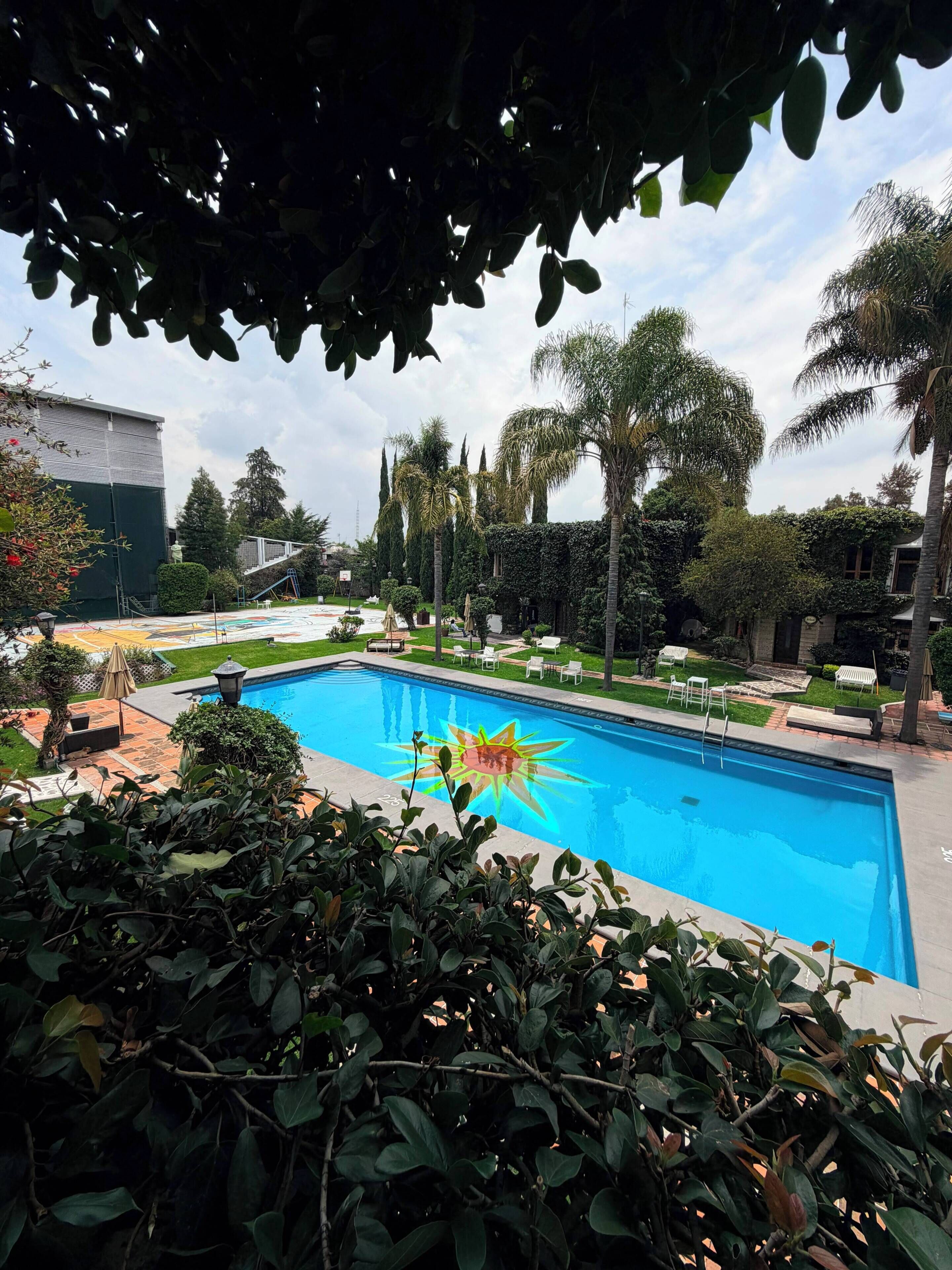 Una piscina con diseño de sol, rodeada de palmeras y un césped cuidado.