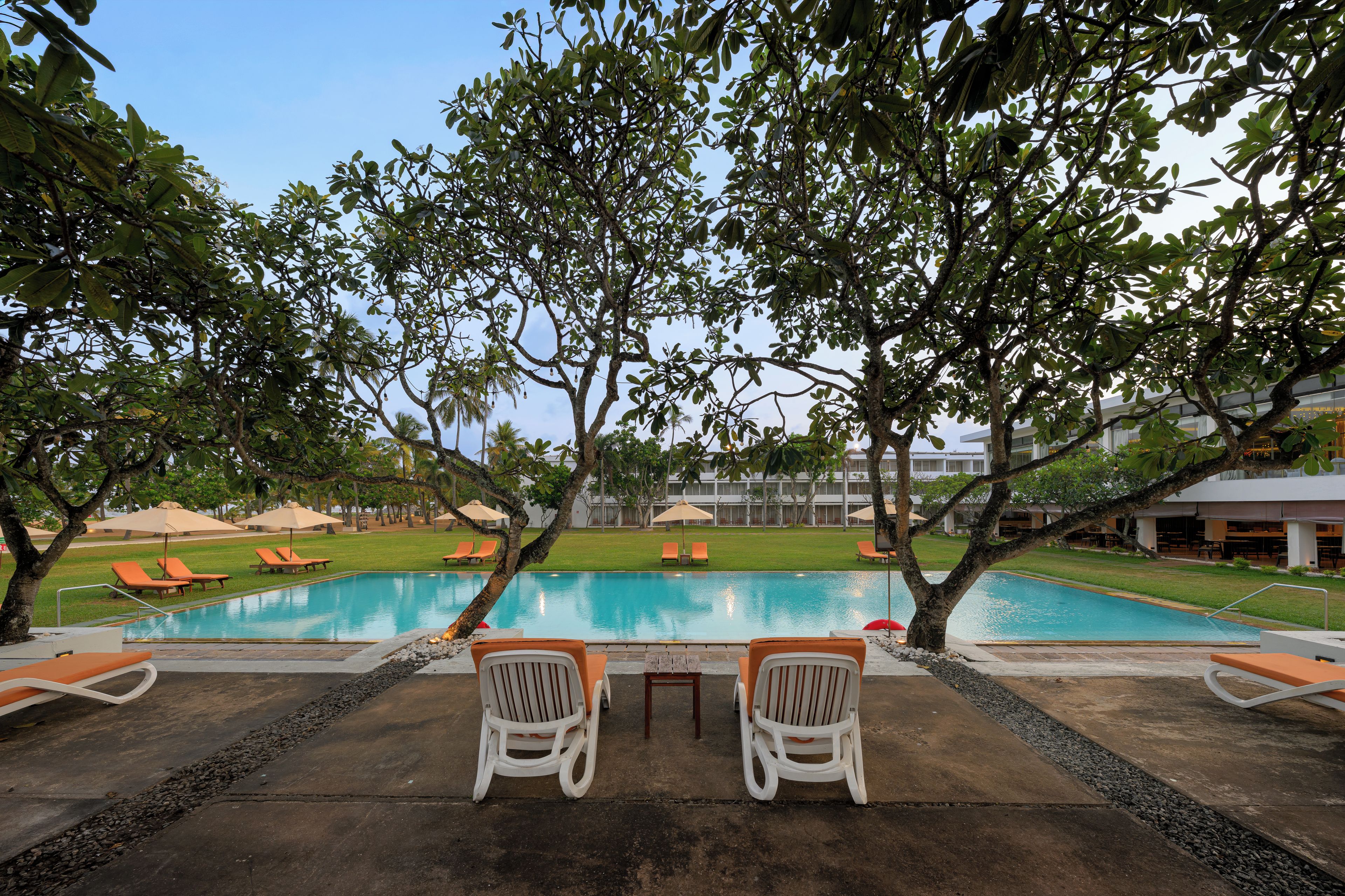 A poolside area with lounge chairs and umbrellas, surrounded by trees.