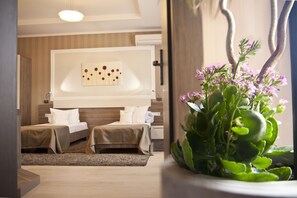 Double or Twin Room | Minibar, in-room safe, individually decorated, individually furnished - Hotel Confort (Cluj-Napoca)