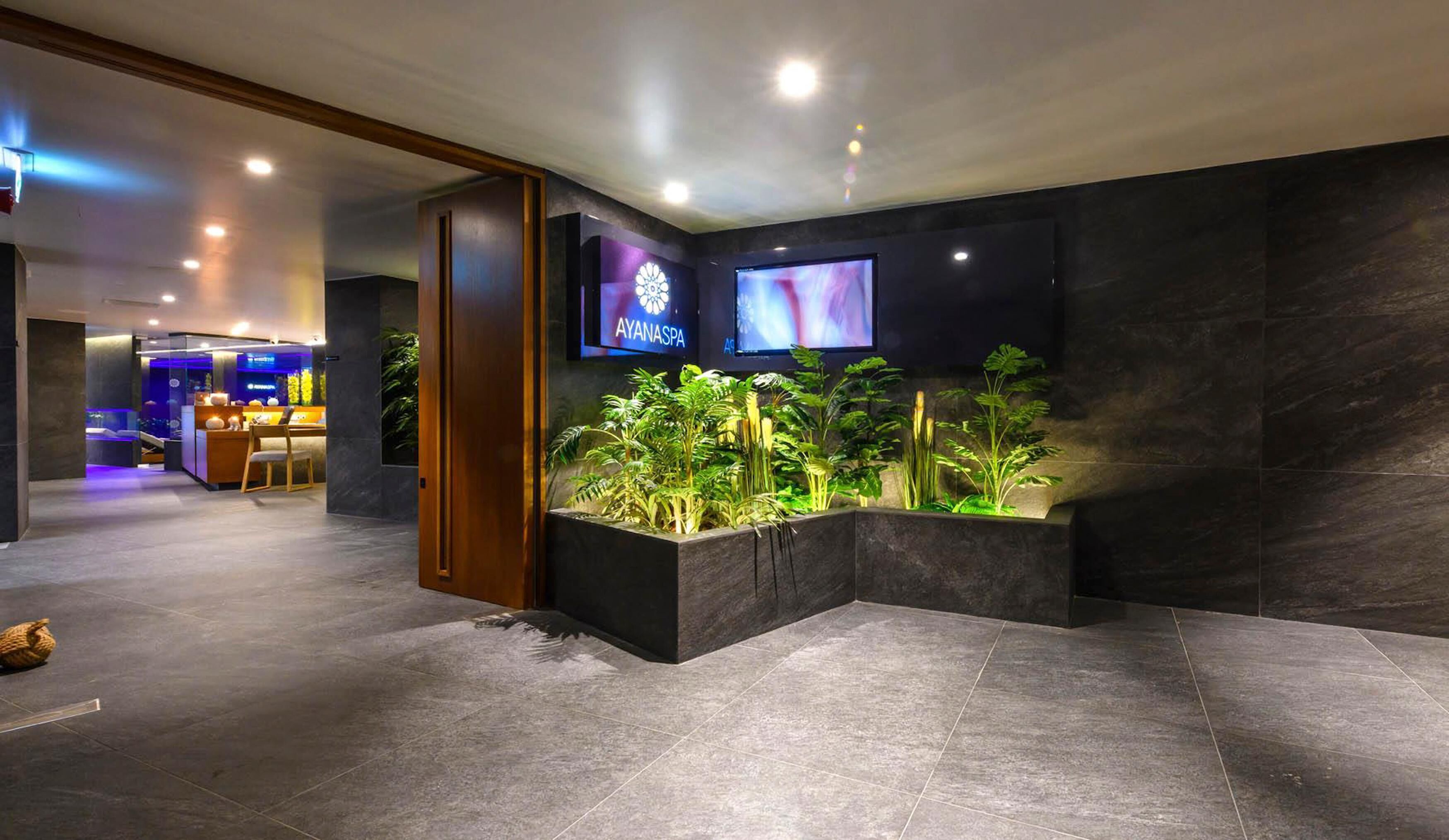 Un hall d’entrée moderne avec un comptoir d’accueil, un écran de télévision affichant le nom « AYANASPA » et un bac à plantes contenant diverses espèces végétales.