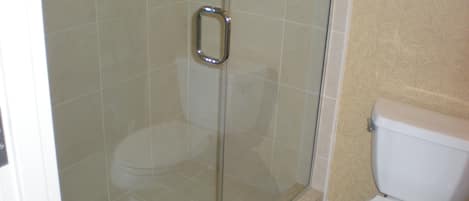 A bathroom with a glass-enclosed shower, a toilet, and a sink.