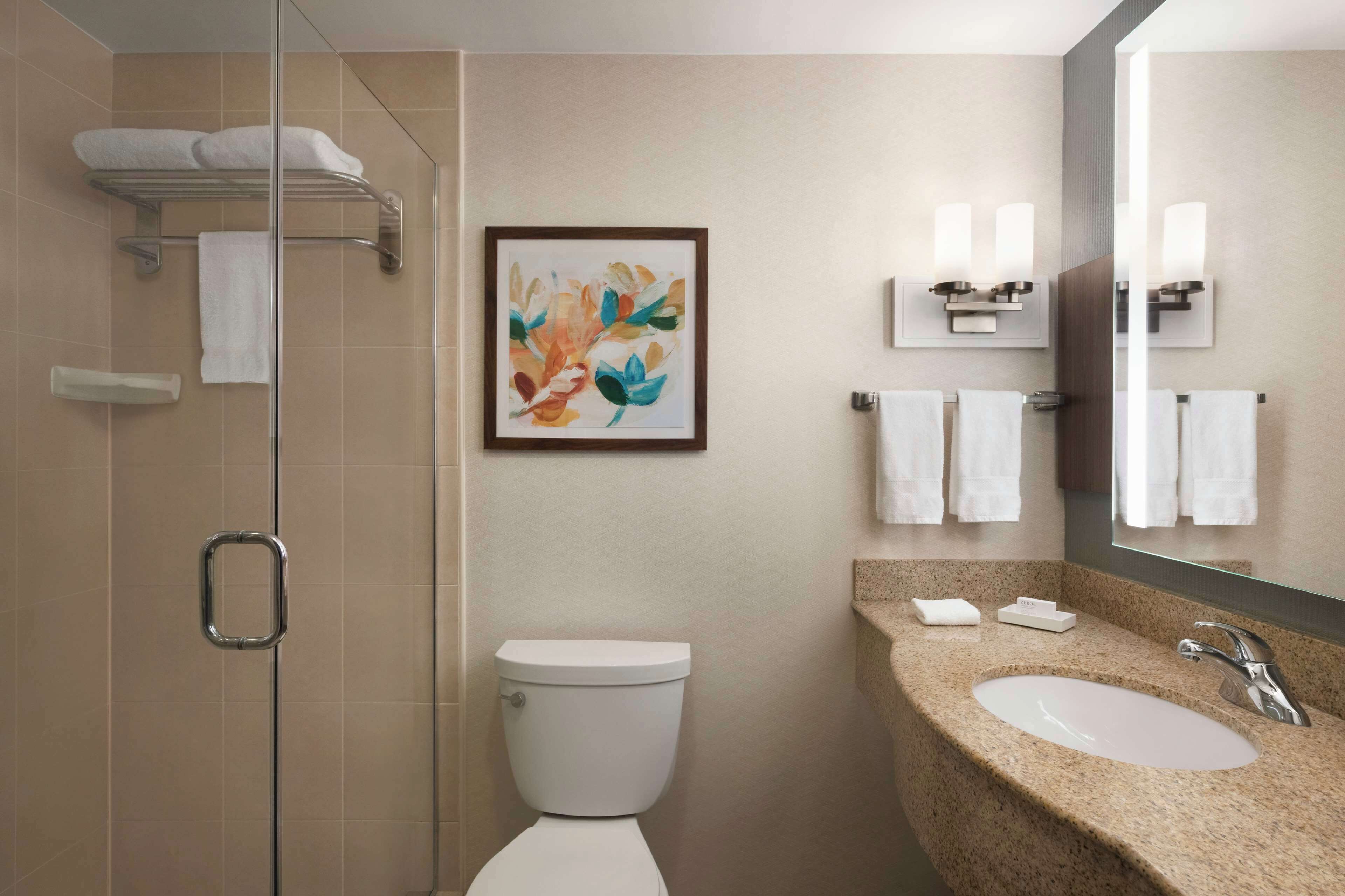 A modern bathroom with a glass shower enclosure, a toilet, a sink with a granite countertop, and a framed floral artwork on the wall.