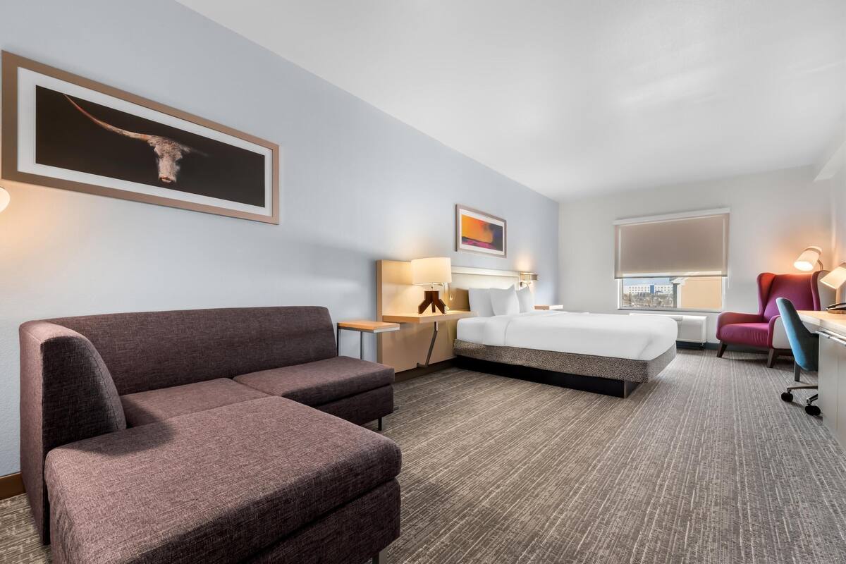 A hotel room with a bed, a sofa, a desk, and a chair.