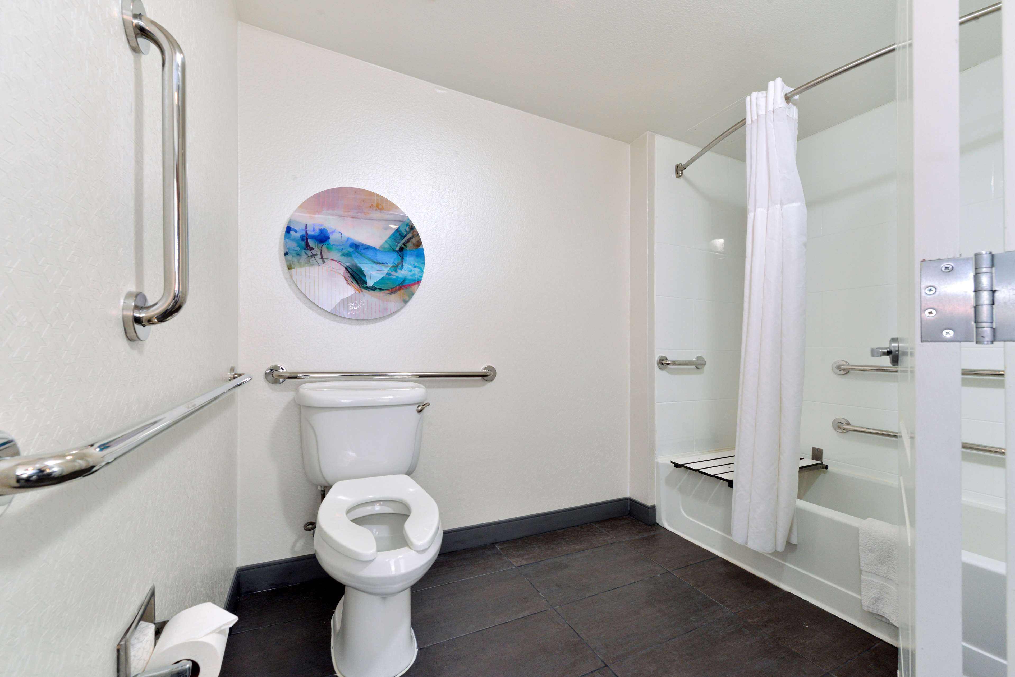A bathroom with a toilet, handrails, a shower with a curtain, and a wall-mounted artwork.