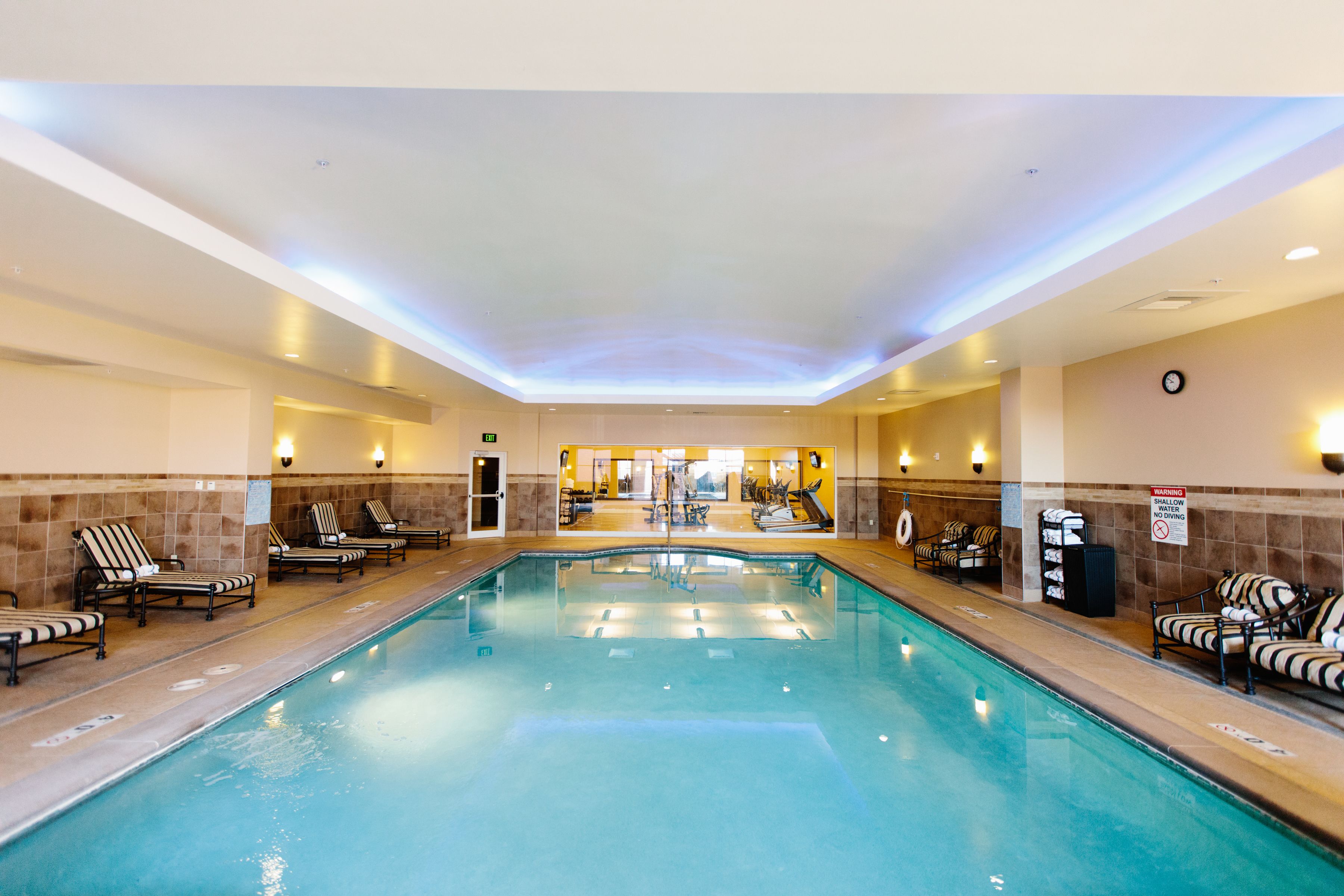 Indoor pool, sun loungers