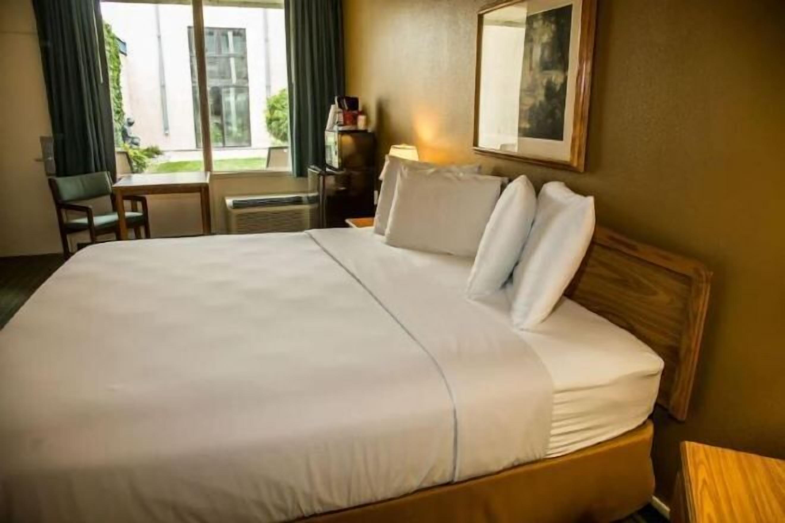 Escritorio, espacio para trabajar con laptop y cortinas blackout 