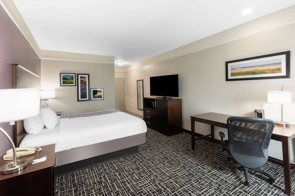 Habitación de hotel con cama, escritorio, silla, televisor y un cuadro en la pared.