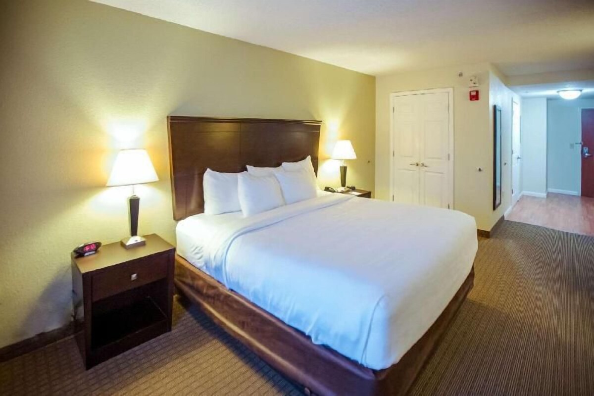 A hotel room with a large bed, two bedside tables with lamps, a door, and a carpeted floor.