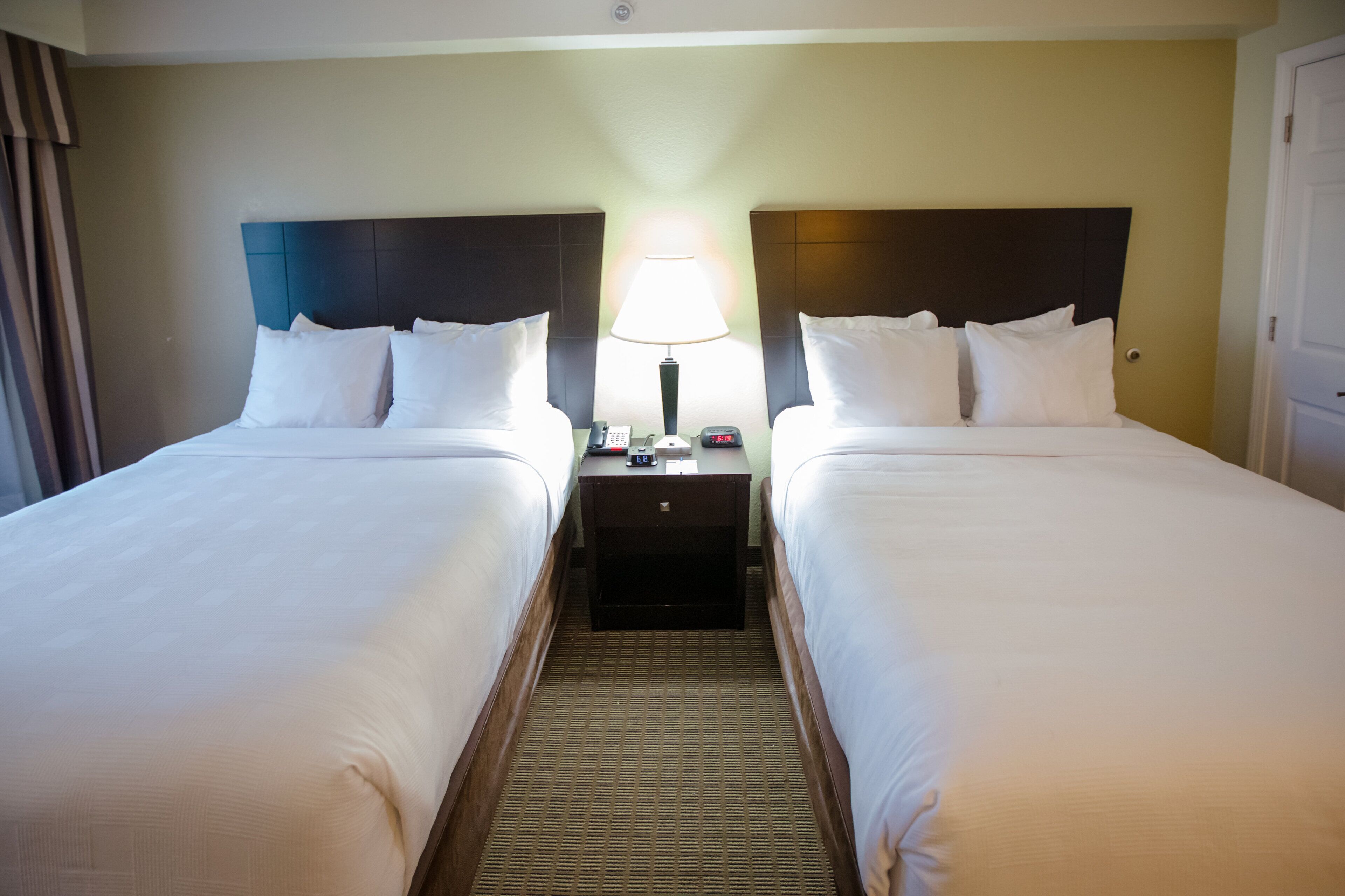 Foto - MainStay Suites Knoxville North I-75