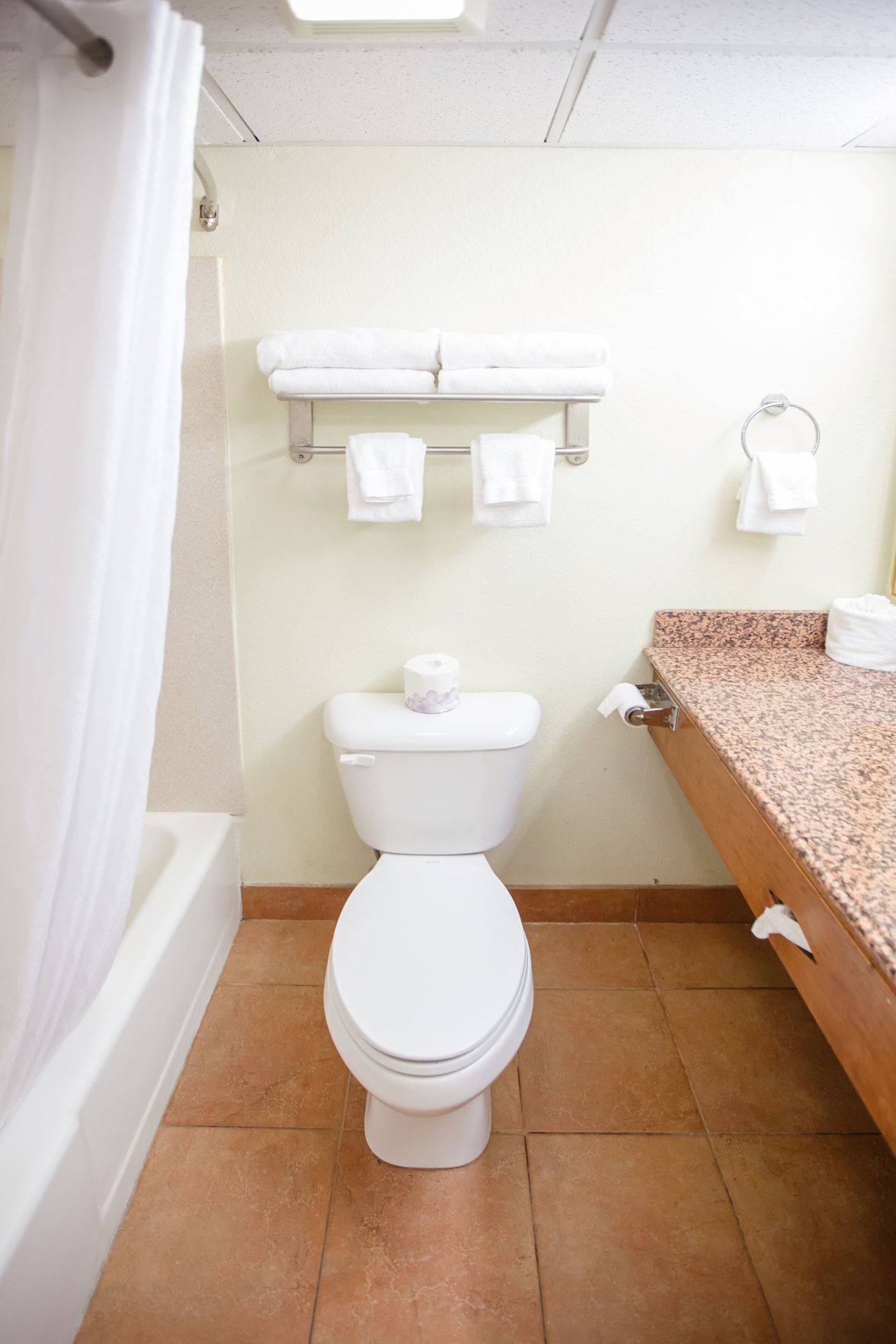 Bathroom | Combined shower/tub, hair dryer, towels