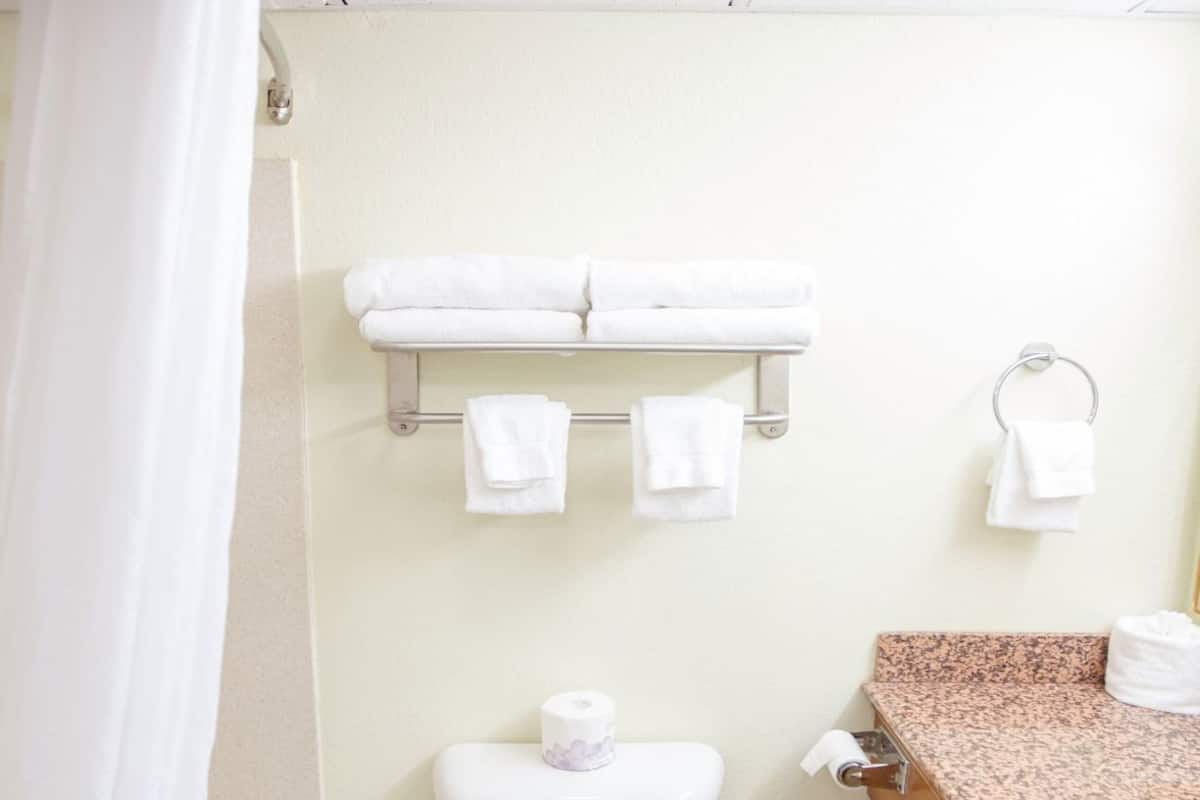 Bathroom | Combined shower/tub, hair dryer, towels