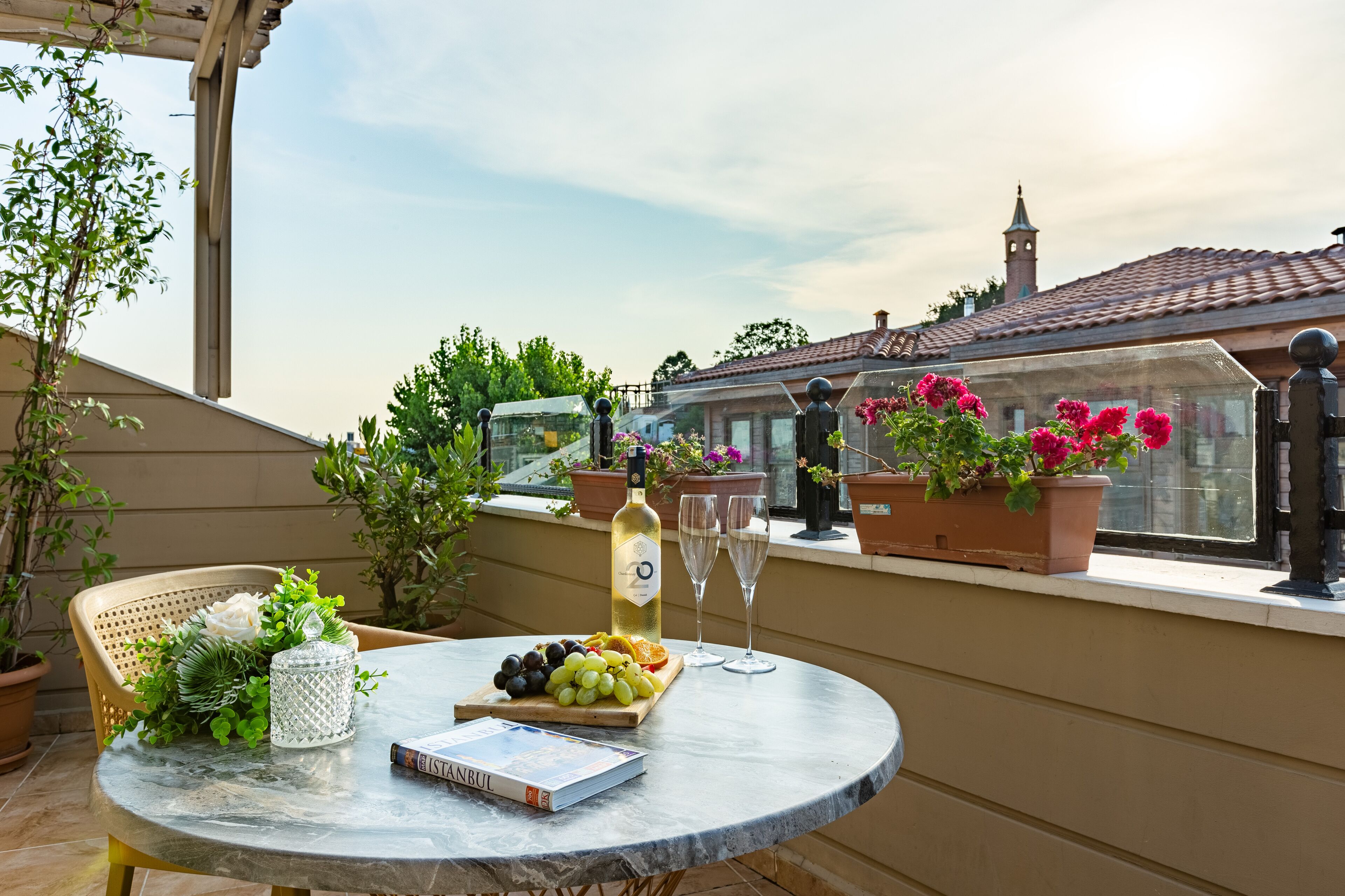 Superior Double Room with Terrace -15m2 | 客房景观