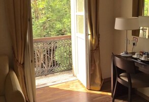 Vista desde la habitación