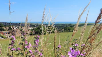Vue depuis lâhĂ©bergement