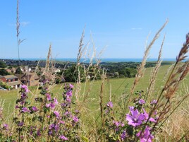 Vistas desde el alojamiento