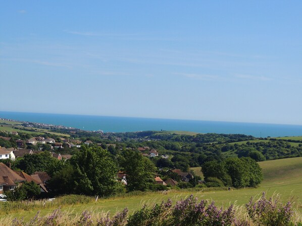 View from property - The Downs Hotel (Brighton)
