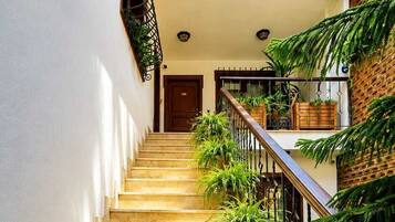 A staircase with multiple steps, flanked by potted plants and a railing.