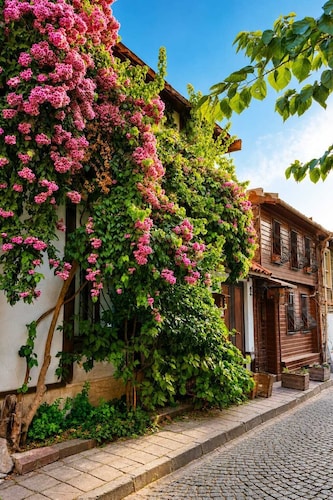 Villa Sphendone Suites